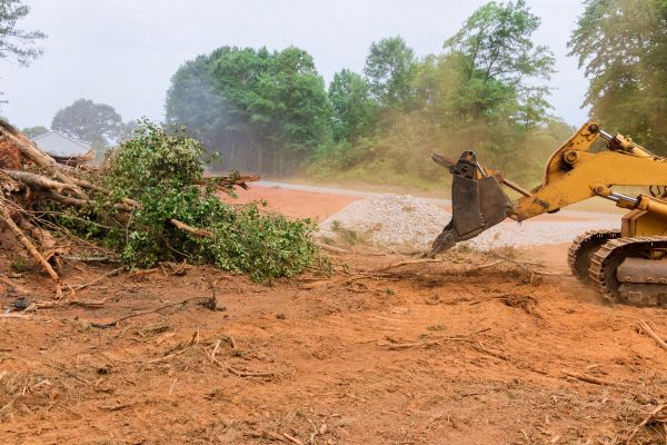 Ground Clearing in Jeffersonville
