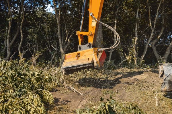 Brush Removal Service in Jeffersonville