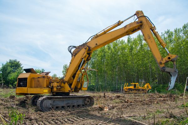 Farm Clearing in Jeffersonville