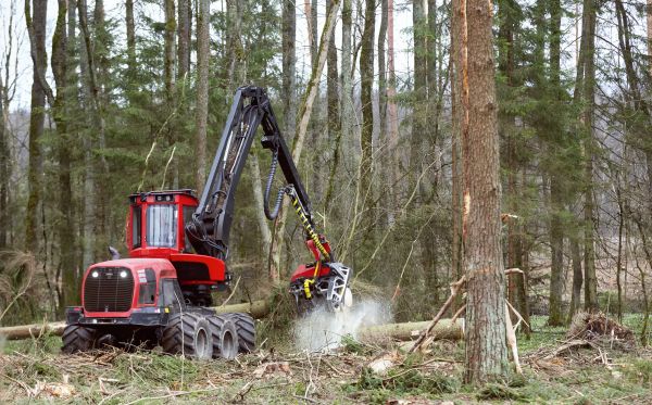 Forest Clearance Service in Jeffersonville