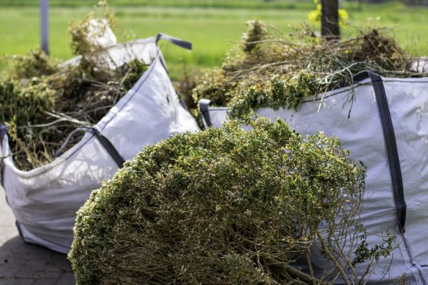 Cost of Bushes Clearing in Jeffersonville