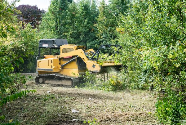 Pathway Clearing in Jeffersonville
