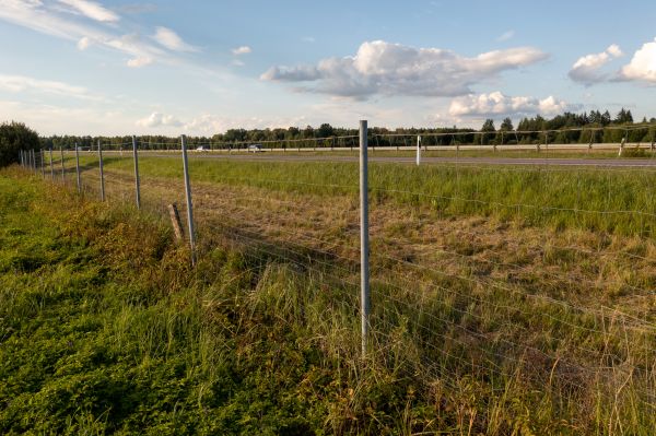 Property Line Clearing in Jeffersonville