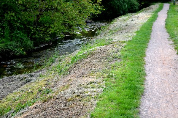 Trail Cutting in Jeffersonville